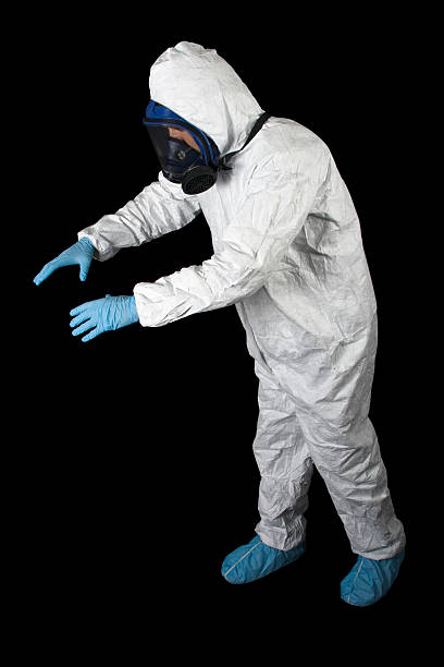 Best Crawl Space Mold Remediation  in Rossville, IN
