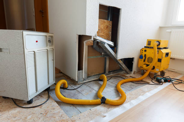Best Industrial Mold Remediation  in Rossville, IN