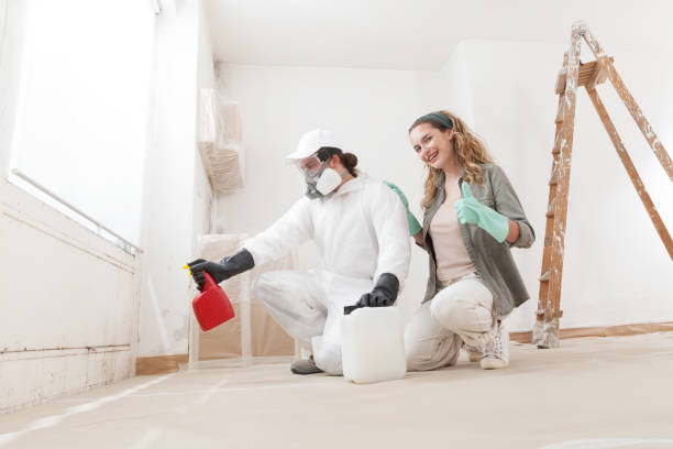 Best Mold-Related Health Consultation  in Rossville, IN